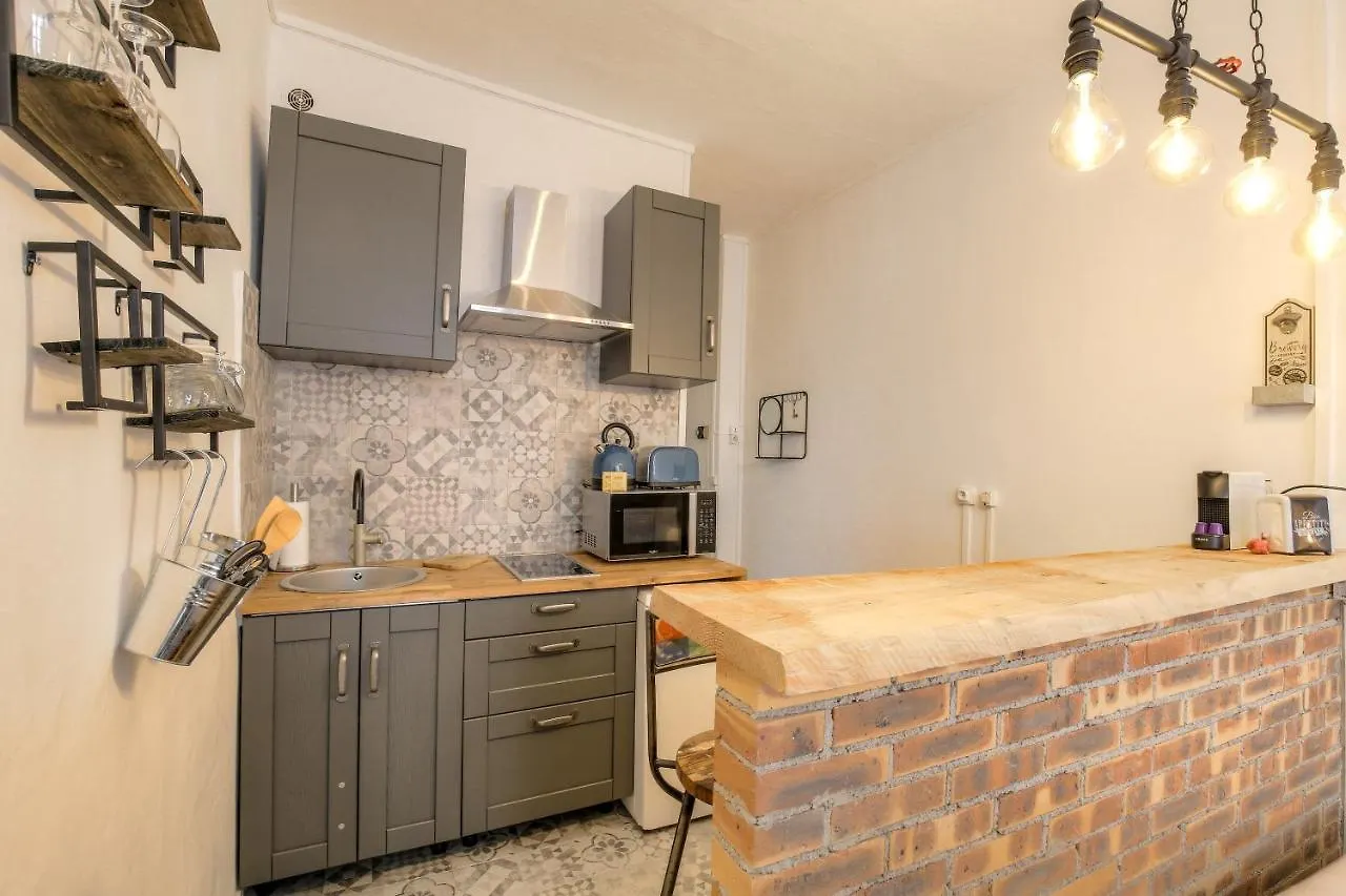 Studio Lyon Centre Apartment